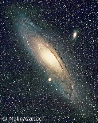 M31